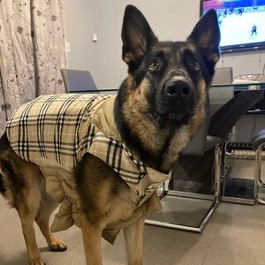 XXXL Burberry Style Dog Coat. 65-90lbs.